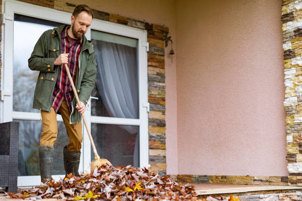 Best Basement Cleanout Services  in Pikeville, TN